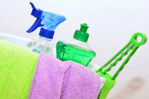 cleaning supplies for bleach mold
