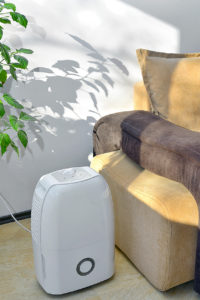 Reduce mold allergy symptoms with a dehumidifier
