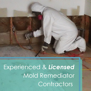 mold-removal