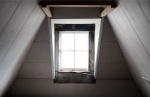Common Places Where Mold Grows A Common Place For Mold Growth Is The Attic