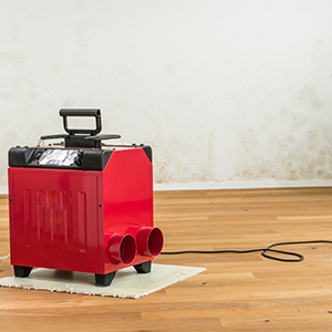 A dehumidifier, which can help prevent mold growth in Louisiana