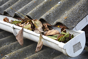 A clogged gutter which can cause a roof leak and mold growth
