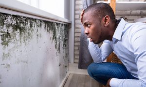 Man inspecting mold in his home