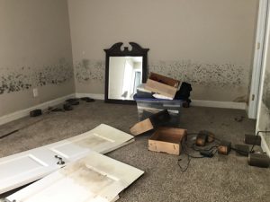 Image of flooded house