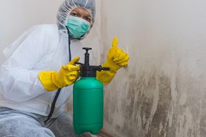 cleaning professional in protective gear removing types of mold from wall