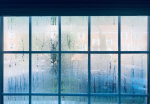 Wet weather affect mold in winter