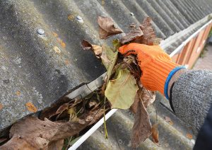 Person cleaning gutters to protect the roof from water damage